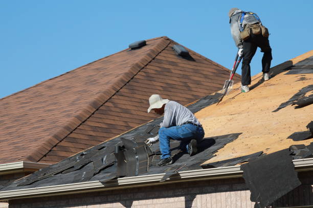Best Skylight Installation and Repair  in Maysville, GA