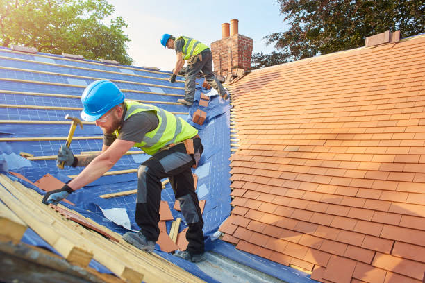 Best Roof Maintenance and Cleaning  in Maysville, GA